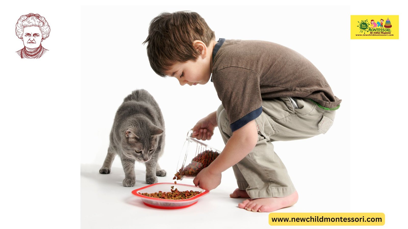Feeding pets 